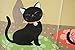 Made in Japan Noren Curtain Tapestry Japanese Black Cats