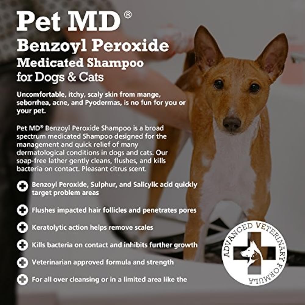 Benzoyl Peroxide Medicated Shampoo For Dogs And Cats Effective