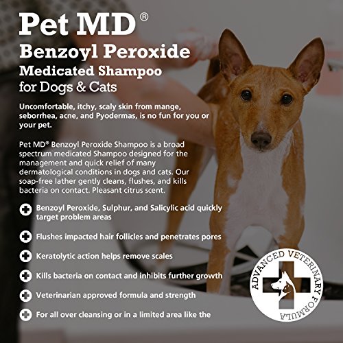 Pet MD Benzoyl Peroxide Medicated Shampoo for Dogs and Cats, Effective