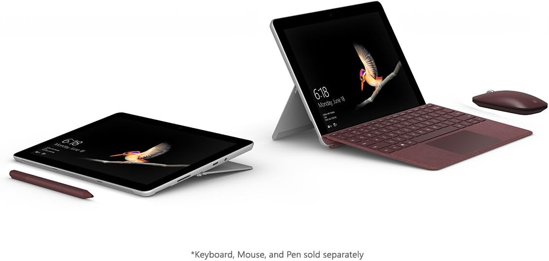 Microsoft Surface Go (Intel Pentium Gold, 8GB RAM, 128GB) (MCZ-00001) : Computers & Accessories