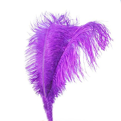 KOLIGHT 10pcs Ostrich Feather Purple 12"-14" Natural Feathers Wedding, Party,Home,Hairs Decoration