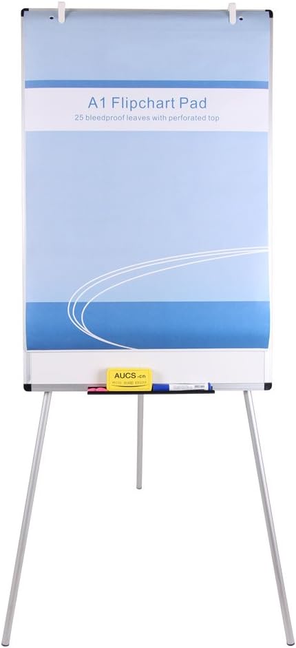 VIZ-PRO Standard Easel Pads, A1 Flipchart Paper Pad, 23 x 32 Inches, 25-Sheets/Pad : Office Products