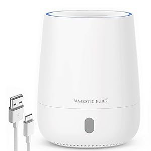 MAJESTIC PURE USB Essential Oil Diffuser, Portable Aromatherapy Diffuser, Travel Size, Auto Shut-off for Spa Room, Home, Office, Bedroom - BPA Free, 120 ml