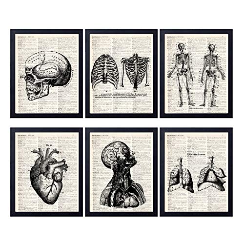 Anatomical Medical Art Vintage Book Art Print Set of 6, Unframed 8x10 Inch Human Skeleton Patent Picture
