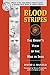 Blood Stripes: The Grunt's View of the War in Iraq by David Danelo