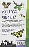 Image de papillons et chenilles