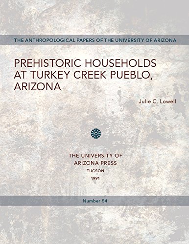 Prehistoric Households at Turkey Creek Pueblo, Arizona (Anthropological Papers)