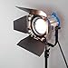 LimoStudio 950 Watts Photo Video Studio Tungsten Fresnel Continuous Spot Light Studio Lighting Kit, AGG1104