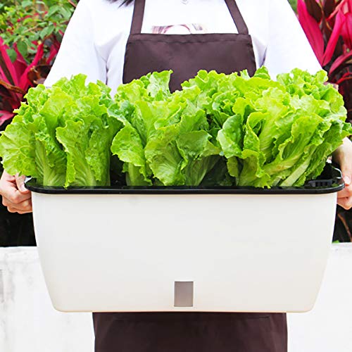 DeEFL 2 Packs ExtraLarge Self Watering Planters for Vegetables Indoor