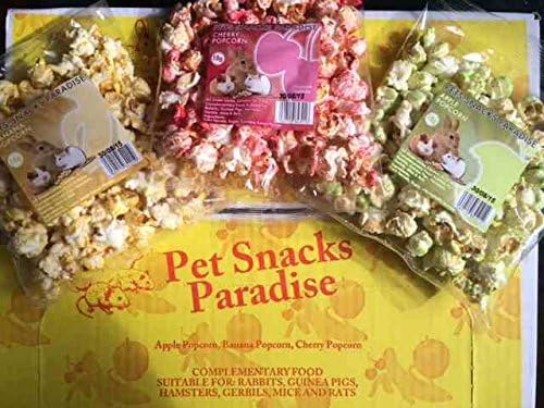 Popcorn Small Animal Treat Assorted Flavours 18g (Pack of 24)