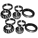 CBPN1200A Two (2) Front Wheel Bearing Kits for Ford 1939-1954 9N 2N 8N NAA