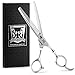 Professional Hair Thinning Scissors - Home Hair Cutting Scissors for Hairdressing, Texturizing Thinning Shears with Razor Edge - Stainless Steel Hair Cutting Scissors - Silver - 6.5inch