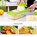 TAPCET Multi-function Food Slicer, Mandoline Vegetable Slicer, Fruit and Cheese Cutter, 5 Interchangeable Blades+Food Container+Peeler+Cleaning Brush+Blade Storage Box, Best for Carrot/Cucumber/Cheese