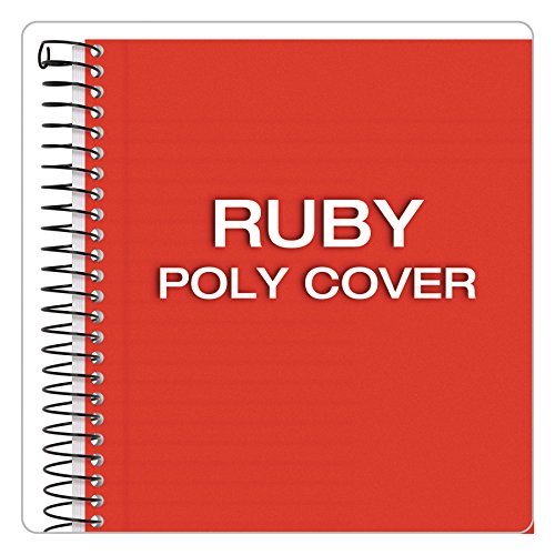 TOPS Classified Business Notebook, 5.5 x 8.5-Inch, College Rule, 100 Sheets per Book, Ruby Plastic Cover (73505)
