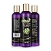 Allurials Fragrance Free Hair Conditioner, Natural Hair Treatment for Dry Damaged and all Hair Types, Safe for Color Treated Hair, Sulfate Free, Silk and Pea Peptides, Argan Jojoba Avocado and Coconut