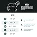 EzyDog Neo Dog Collar - Waterproof & Reflective Dog Collar with Soft Padded Neoprene for Comfort & Durable Nylon – Features Quick Release Buckle and Built-in ID Clip (Large, Orange)