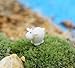 BeautyMood Miniature Fairy Garden Herd of Sheeps, Set of 6