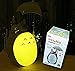 Totoro Anime LED Night Light [Green Belly], Kid's Character Lamp USB Charge, Desk Night Table Reading Lamp