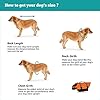 HAOCOO-Dog-Life-Jacket-Vest-Saver-Safety-Swimsuit-Preserver-with-Reflective-StripesAdjustable-Belt-for-All-Size-Dogs