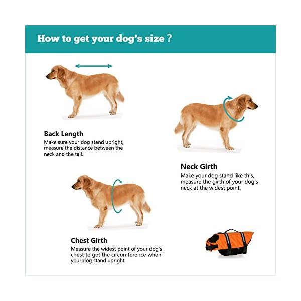 HAOCOO-Dog-Life-Jacket-Vest-Saver-Safety-Swimsuit-Preserver-with-Reflective-StripesAdjustable-Belt-for-All-Size-Dogs