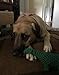 PUPTECK Dog Rope Toy Tough Cotton Dinosaur Puppy Pet Durable Chew Toys for Small or Medium Dogs Biting