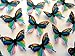 Rainbow Monarch Color Wafer Paper Butterflies 1.75 Inch for Decorating Desserts Pack of 24