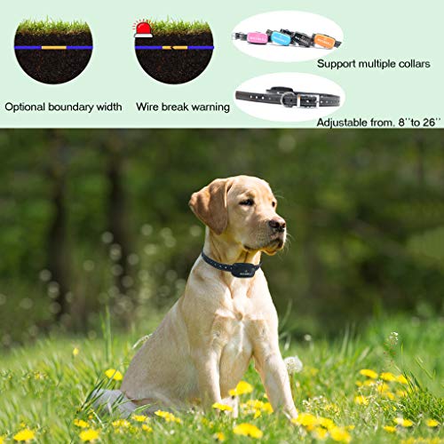 MASBRILL Electric Dog Fence, Invisible Underground Fence Containment Systerm, Suitable for Small, Medium, Big Dogs, Best Pet Safety Solution, Equip 2 Rechargeable W (for 2 Dogs)