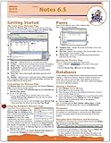 Lotus Notes 6. 5 Quick Source Guide, , 1932104127