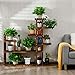 Giantex Flower Rack Wood Plant Stand Wood Shelves Bonsai Display Shelf Indoor Outdoor Yard Garden Patio Multifunctional Storage Rack Bookshelf W/Hollow-Out Rack (47.5’’Lx 10’’Wx 47.5’’H (7 Tier))