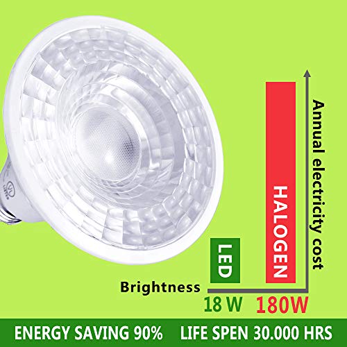 Par38 LED Bulbs, Tanbridge Dimmable Indoor and Outdoor, LED Flood Light Bulb, 18W (180W Equivalent), E26 Base, 5000K Daylight, 60° Beam Degrees, Par38, Energy Star (6 Pack)