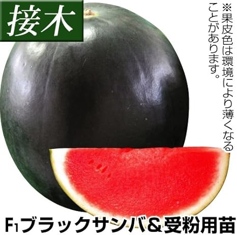 Amazon 販売終了商品 野菜
