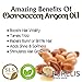 Purelis Argan Oil Shampoo and Conditioner Set, Extra Strength Formula with Keratin & Dead Sea Minerals. Restores Shine, Moisturizes Dry & Damaged Hair, Enhances All Hair Types HUGE 16.9 oz. Each.