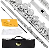 Lazarro Professional Silver Nickel Closed Hole C Flute for Band, Orchestra, with Case, Care Kit and Warranty, 120-NK
