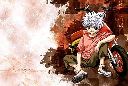 Run Fashion Hunter X Hunter Art Silk Scroll Poster Room Decor Picture Hot Janpan Killua Zoldyck Gon 27