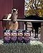 Flaxen Flow 3 L, 100% Flax Seed Oil for Horses, Rich in Omega-3 and Omega-6 Fatty Acids