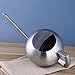 IMEEA Watering Can for Indoor House Plants Long Spout Brushed Stainless Steel Watering Pot, 45oz/1.3L