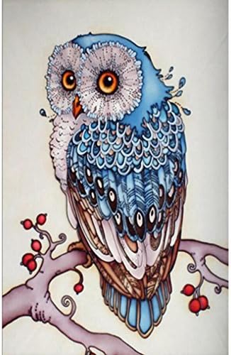 Woshishei 5D Diamond Rhinestone Pasted Embroidery Owl Painting Cross Stitch Home Decor (40 x 60CM)