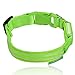ILLUMISEEN LED Dog Collar USB Rechargeable - Bright & High Visibility Lighted Glow Collar for Pet Night Walking - Weatherproof, in 6 Colors & 6 Sizes (Green Small)