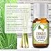 Healing Solutions 10ml Oils - Lemongrass Essential Oil - 0.33 Fluid Ounces