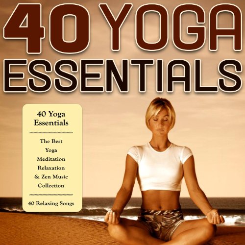 40 Yoga Essentials The Best Yoga, Meditation, Relaxation