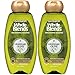 Garnier Hair Care Whole Blends Replenishing Shampoo Legendary Olive for Dry Hair, 2 Count