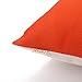 HT&PJ Decorative Cotton Linen Square Throw Pillow Case Cushion Cover Orange Abstract Fox Design 18 x 18 Inches