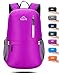Venture Pal 25L Travel Backpack - Durable Packable Lightweight Small Backpack Women Men