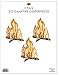 Beistle Premium 3-D Campfire Centerpiece (3-Pack) & Campfire Adventure Tablecover | Children's Reusable Party Decoration | Camping, Western Party, Cowboys & Indians and More