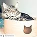 Necoichi Cat-Headed Scratcher Bed (Birch, Regular) | Cardboard Cat Scratcher Bowls for Indoor Cats - Cat Scratching Board, Cat Scratch Pad Reversible Usability and Extra Comfort for Lounge