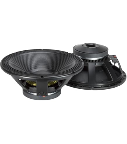 Amazon.com: RCF L18P300 18-Inch Car and DJ Woofer, Black : Electronics