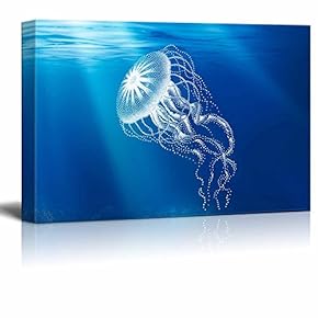 Under The Sea A Transparent Jellyfish