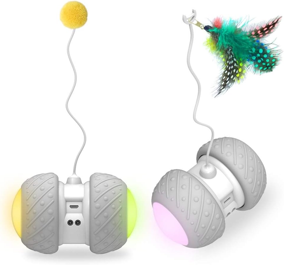 bestes elektronisches katzenspielzeug