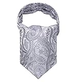 SetSense Men's Ascot Floral Paisley Jacquard Woven Cravat Tie ,Gray / Silver,One Size