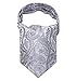 SetSense Men's Ascot Floral Paisley Jacquard Woven Cravat Tie ,Gray / Silver,One Size